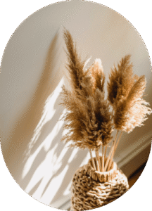 Parlor Palm